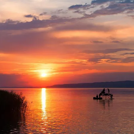 Dom wakacyjny In - Balaton 18075 *